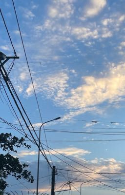 [Pernut] Ngẫu hứng