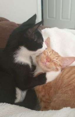 PERNUT | No one notice