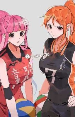 Perona x Nami : PeroNami