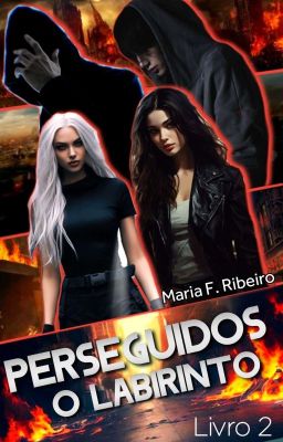 Perseguidos - O Labirinto L/2