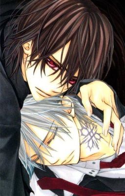 [Personal review] Lảm nhảm vài dòng cảm nghĩ về Kaname x Zero (Vampire Knight)