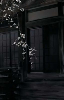 | PerthSanta | Mộc Lan Trắng 