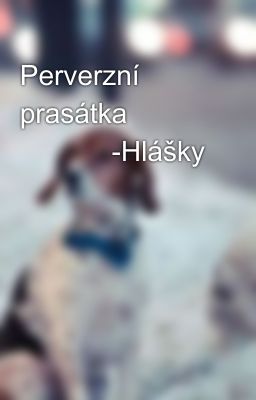 Perverzní prasátka 🐷🐗🐖 -Hlášky