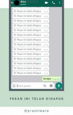 Pesan Ini Telah Dihapus