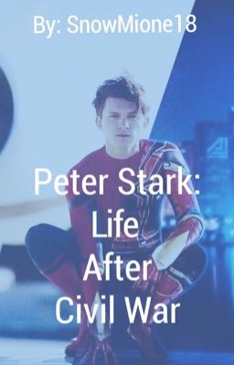 Peter Stark: Life After Civil War