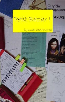 Petit Bazar (textes, nouvelles et autres)