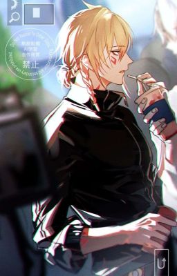 Phaidei - Bất ngờ