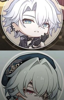 [ Phainaxa ] 