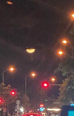 Phít và Gốt