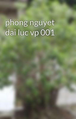 phong nguyet dai luc vp 001