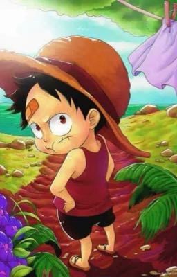 Phỏng vấn các nhân vật trong One Piece