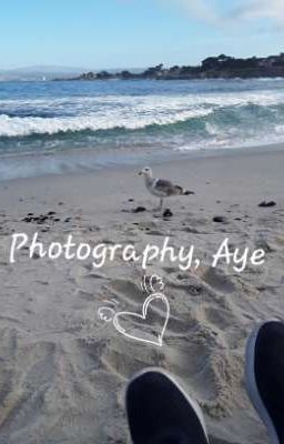 ♤photography, aye♤