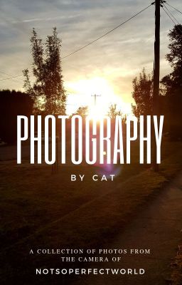 Photography By Cat