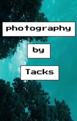 Photography by Tacks