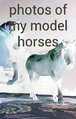 photos of my model horses