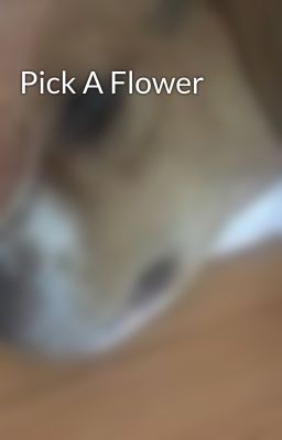 Pick A Flower