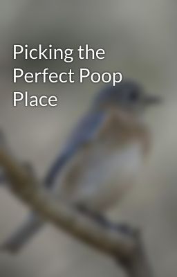 Picking the Perfect Poop Place