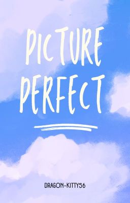 Picture  Perfect