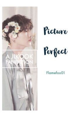 Picture Perfect || JIKOOK FF