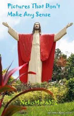 Pictures that Don't Make Any Sense