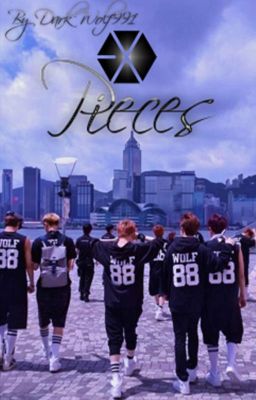 Pieces (EXO Fanfiction)