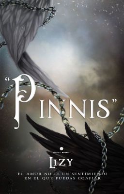 Pinnis | Actualizaciones Lentas