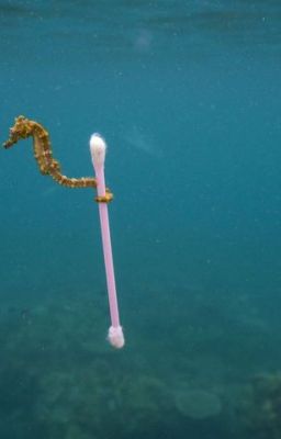 #PlanetOrPlastic: Little Sea Warrior