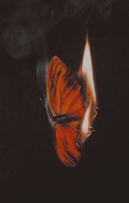 plap x blh | hoa cỏ mùa xuân