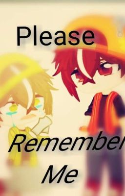 Please Remember Me...