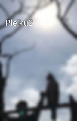 Pleiku2