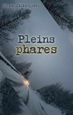 Pleins phares