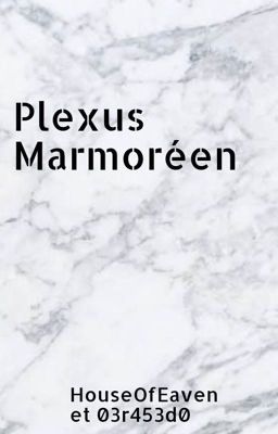 Plexus Marmoréen