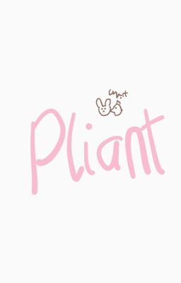 PLIANT | O×O 18+ | KOOKMIN