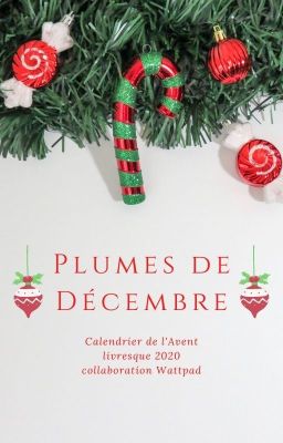 Plumes de Décembre