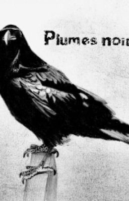 Plumes Noires (Fanfiction Code rouge)