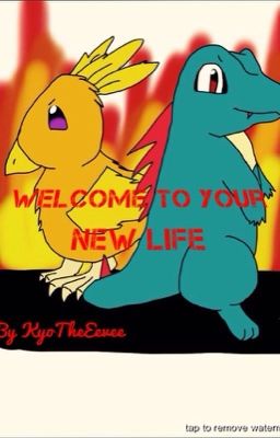 PMU- Welcome to Your New Life 