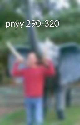 pnyy 290-320