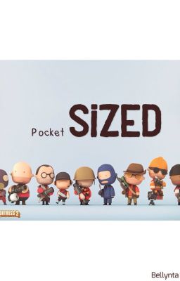 Pocket Sized (TF2 x Reader)