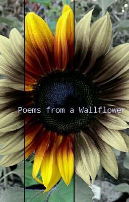 Poems from a Wallflower