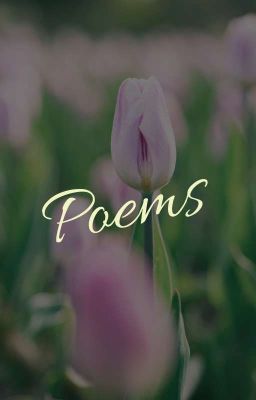 Poetry Collection