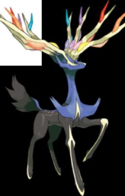 Pokemon x/y(abgebrochen)