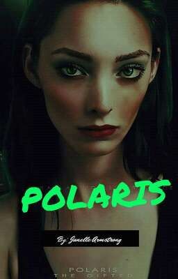 POLARIS |~| Snowestallen