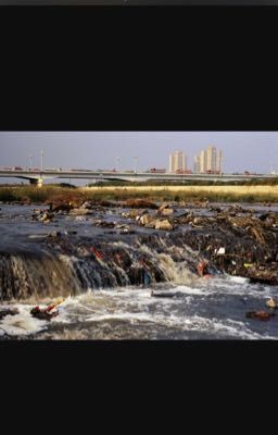 Pollution