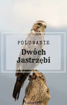 Polowanie Dwóch Jastrzębi | Tłumaczenie