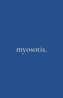 pondphuwin  ⋆ ⌇  myosotis