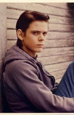 Ponyboy 