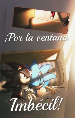 ¡Por la Ventana Imbécil! ©