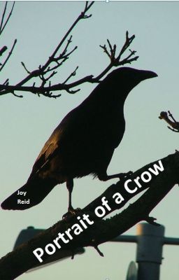 Portrait of a Crow