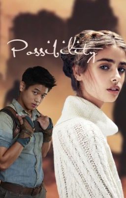 Possibility - A Minho Fan Fiction