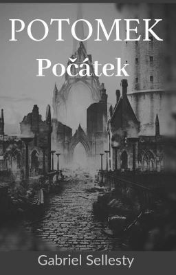 POTOMEK Počátek